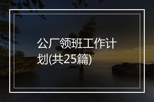 公厂领班工作计划(共25篇)