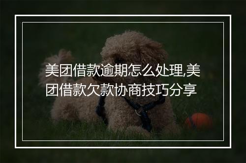 美团借款逾期怎么处理,美团借款欠款协商技巧分享