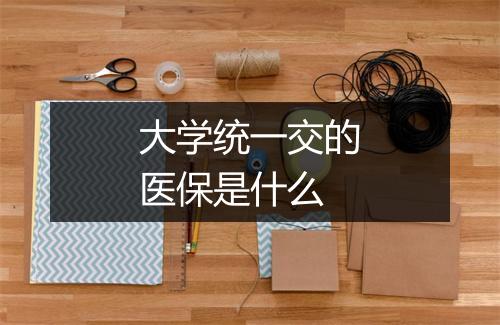 大学统一交的医保是什么