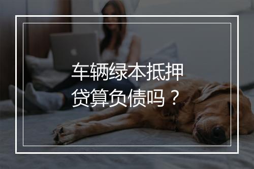 车辆绿本抵押贷算负债吗？