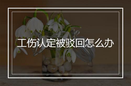 工伤认定被驳回怎么办