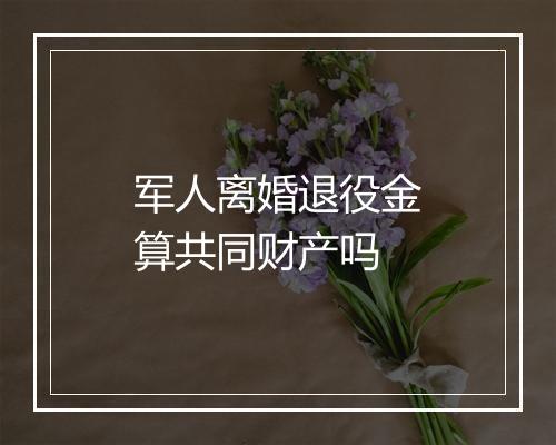 军人离婚退役金算共同财产吗