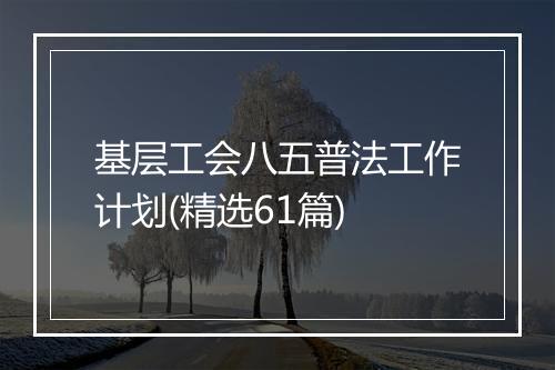 基层工会八五普法工作计划(精选61篇)