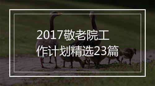 2017敬老院工作计划精选23篇