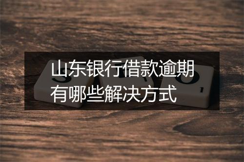 山东银行借款逾期有哪些解决方式