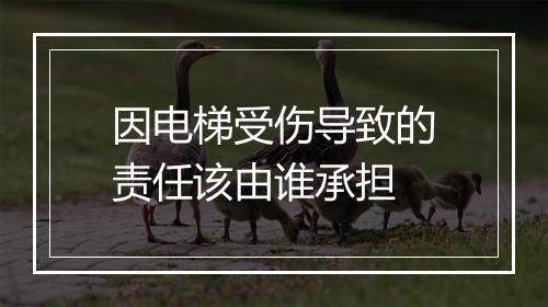 因电梯受伤导致的责任该由谁承担