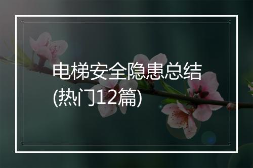 电梯安全隐患总结(热门12篇)