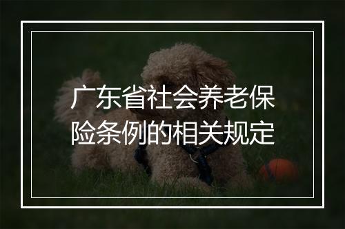 广东省社会养老保险条例的相关规定