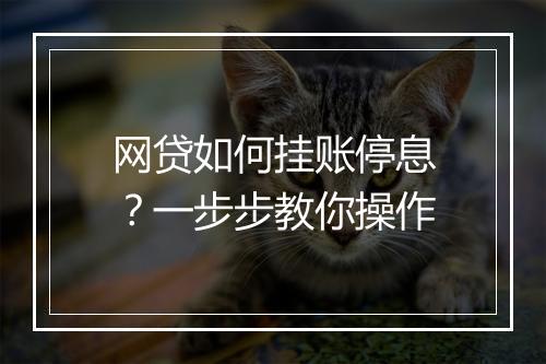 网贷如何挂账停息？一步步教你操作