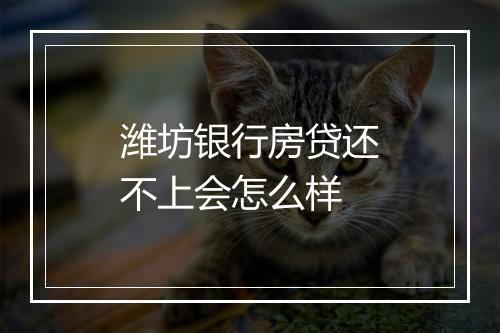 潍坊银行房贷还不上会怎么样