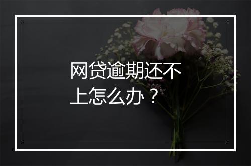 网贷逾期还不上怎么办？