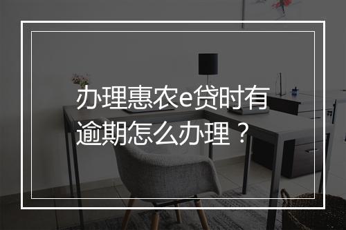 办理惠农e贷时有逾期怎么办理？