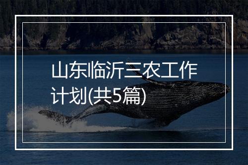 山东临沂三农工作计划(共5篇)