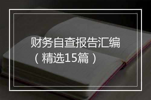 财务自查报告汇编（精选15篇）
