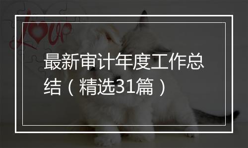最新审计年度工作总结（精选31篇）