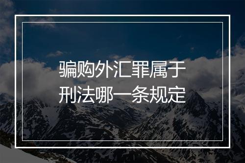 骗购外汇罪属于刑法哪一条规定