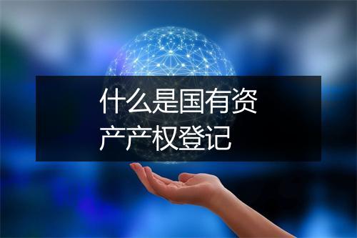 什么是国有资产产权登记