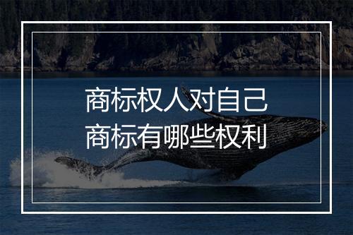 商标权人对自己商标有哪些权利