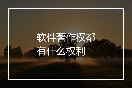 软件著作权都有什么权利