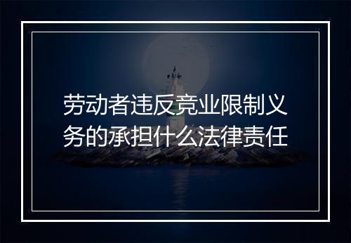 劳动者违反竞业限制义务的承担什么法律责任