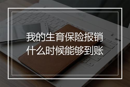 我的生育保险报销什么时候能够到账