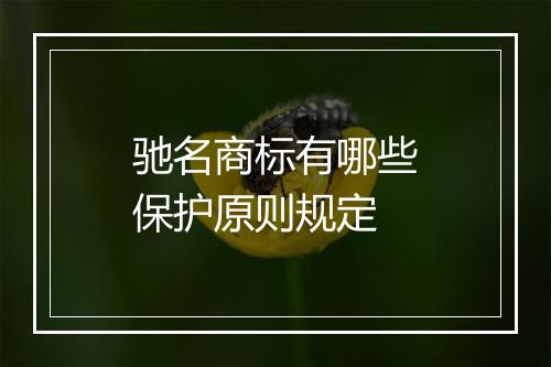 驰名商标有哪些保护原则规定