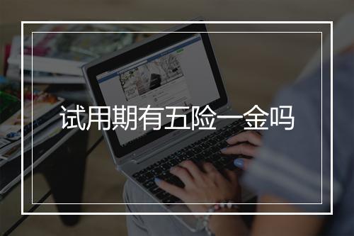 试用期有五险一金吗