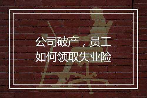 公司破产，员工如何领取失业险