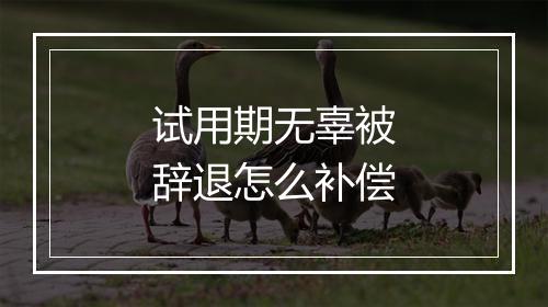 试用期无辜被辞退怎么补偿