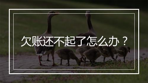 欠账还不起了怎么办？