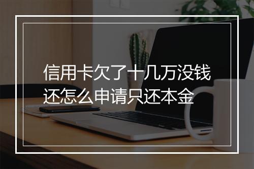 信用卡欠了十几万没钱还怎么申请只还本金