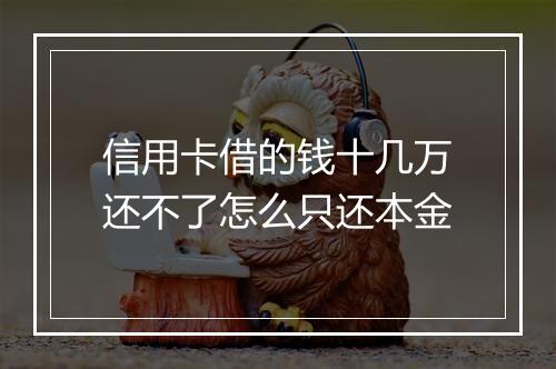 信用卡借的钱十几万还不了怎么只还本金