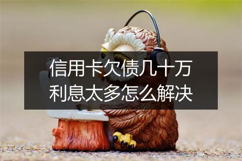 信用卡欠债几十万利息太多怎么解决