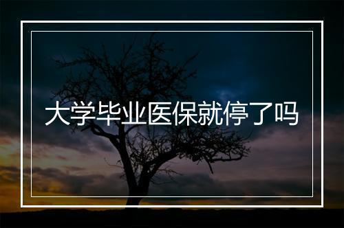 大学毕业医保就停了吗