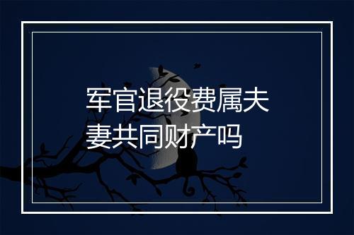 军官退役费属夫妻共同财产吗