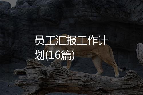 员工汇报工作计划(16篇)