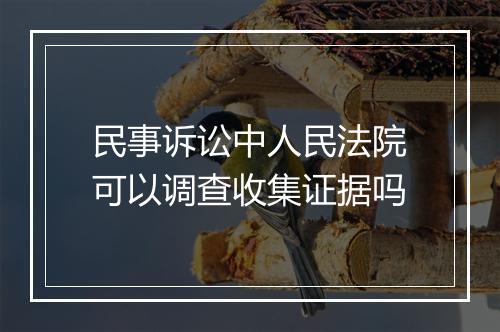 民事诉讼中人民法院可以调查收集证据吗