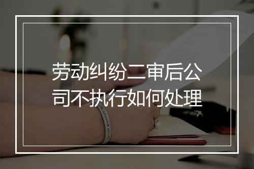 劳动纠纷二审后公司不执行如何处理