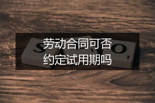 劳动合同可否约定试用期吗
