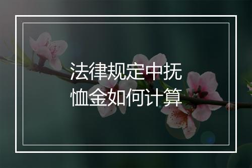 法律规定中抚恤金如何计算