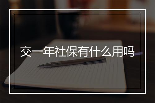 交一年社保有什么用吗
