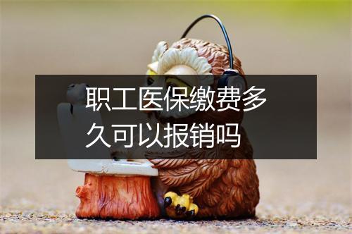 职工医保缴费多久可以报销吗