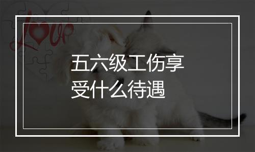 五六级工伤享受什么待遇