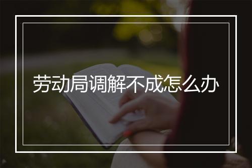 劳动局调解不成怎么办