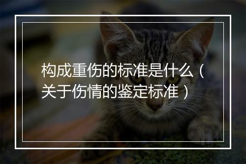 构成重伤的标准是什么（关于伤情的鉴定标准）