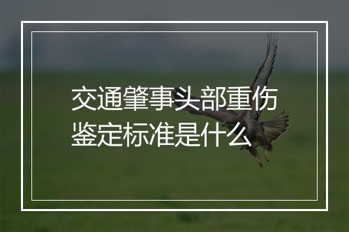 交通肇事头部重伤鉴定标准是什么
