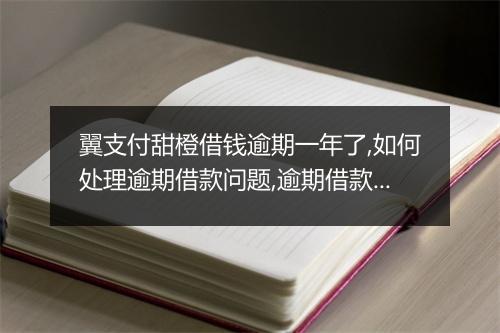 翼支付甜橙借钱逾期一年了,如何处理逾期借款问题,逾期借款后果及解决