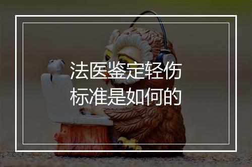 法医鉴定轻伤标准是如何的