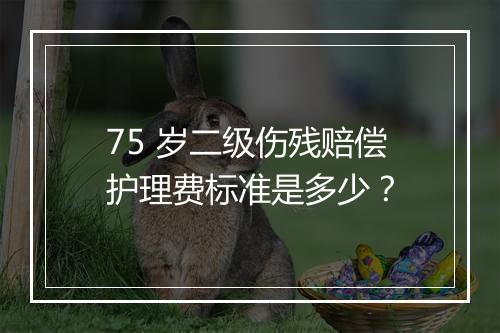 75 岁二级伤残赔偿护理费标准是多少？