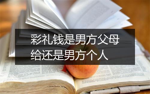 彩礼钱是男方父母给还是男方个人
